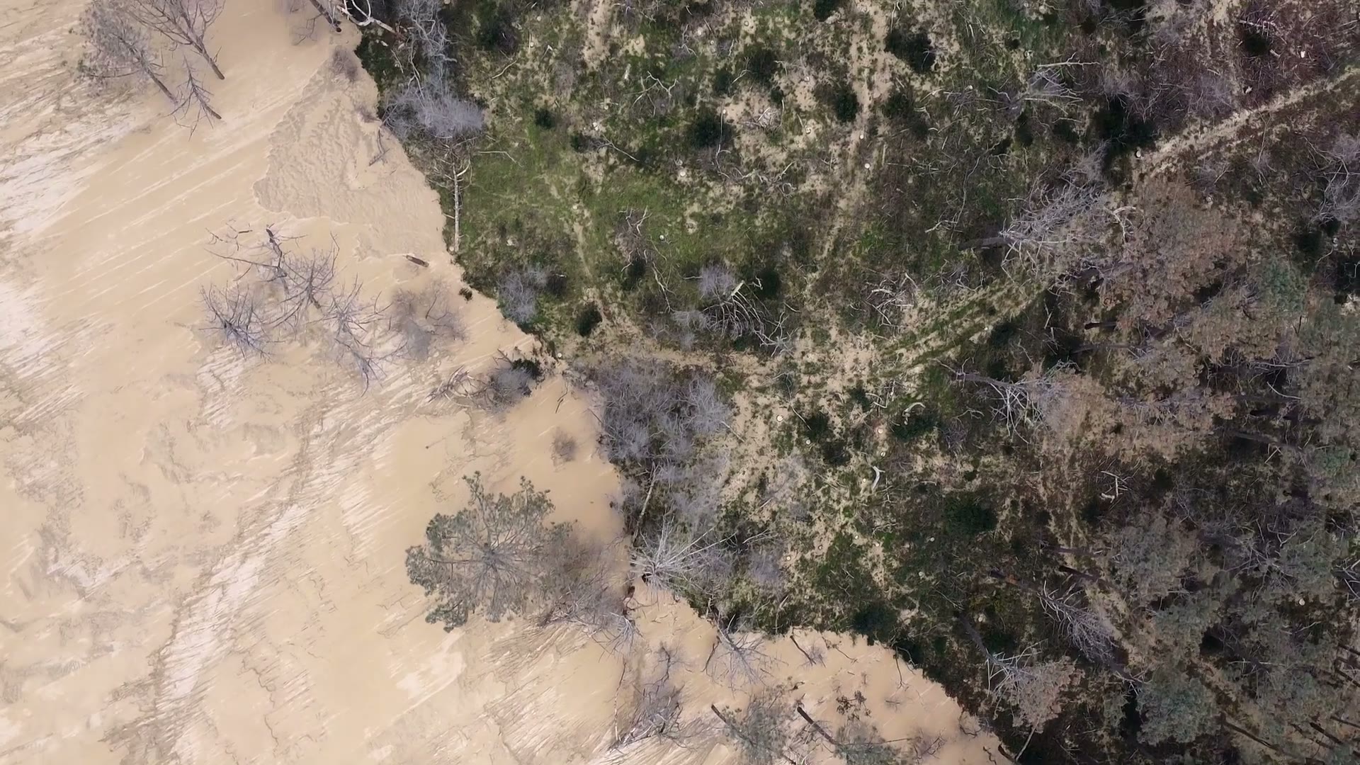 Dune du Pilat — vue aérienne 04