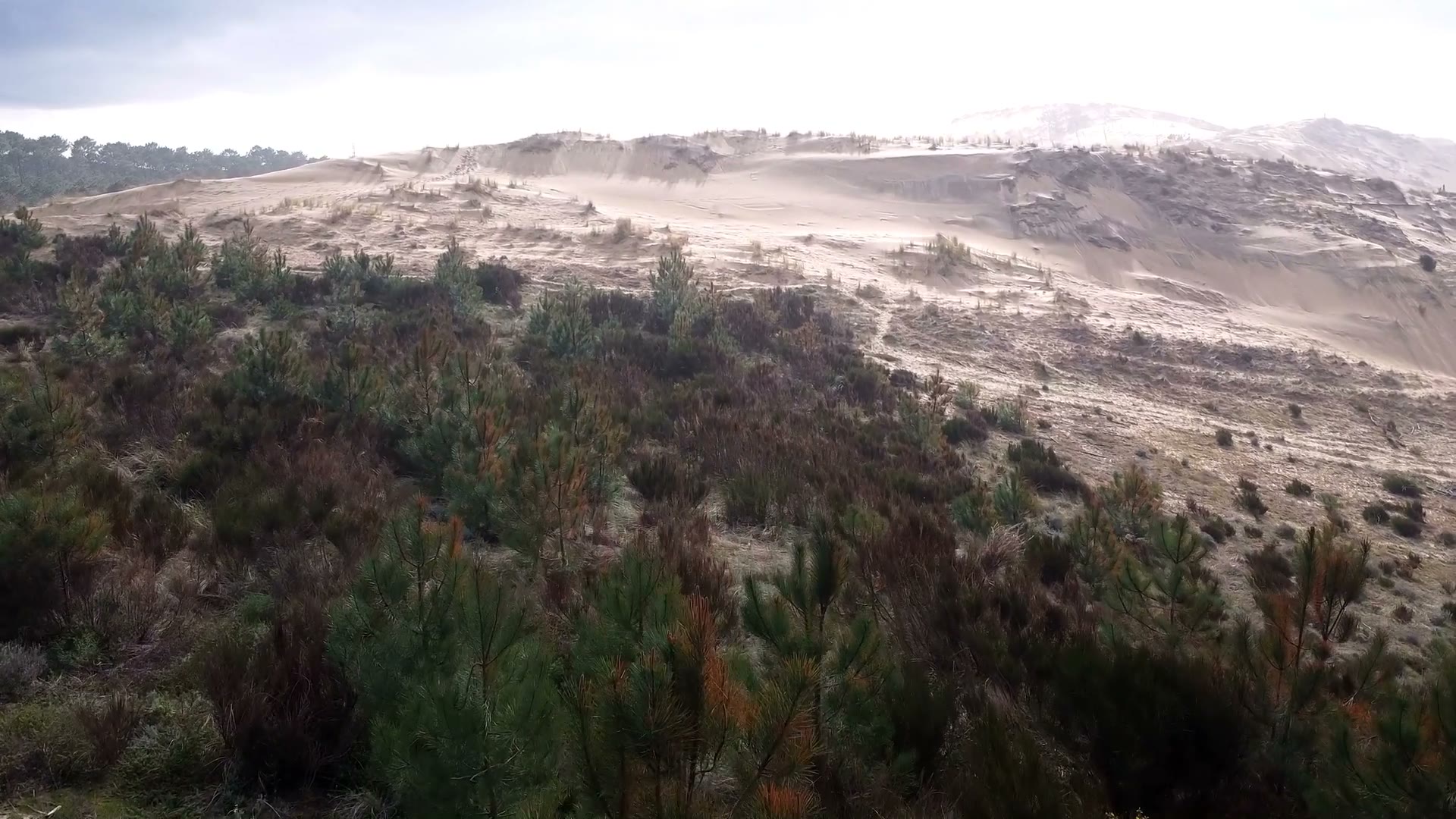 Dune du Pilat — vue aérienne 08
