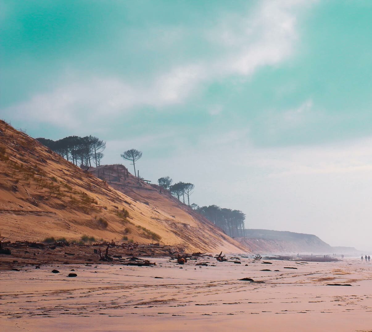 Régie de montage vidéo, écran de color grading