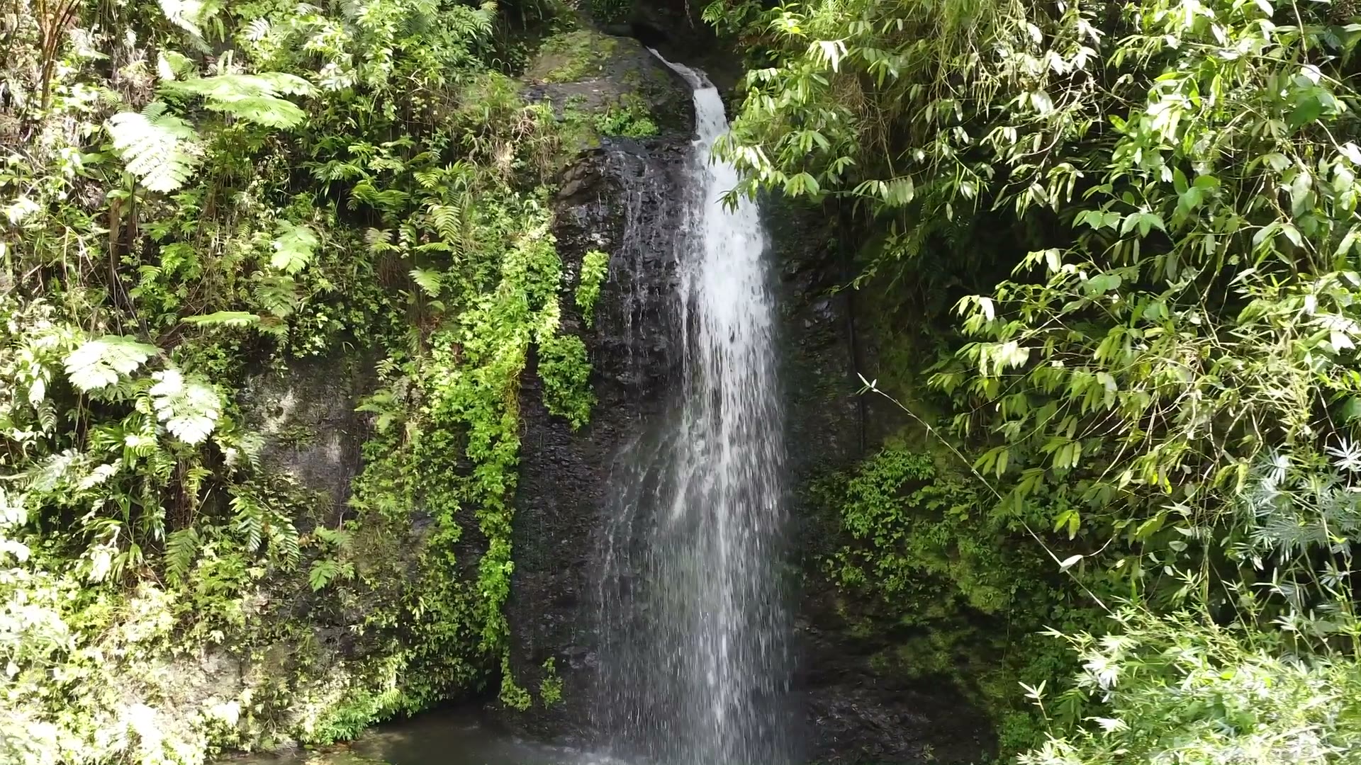 Reportage en Martinique — vue aérienne 06