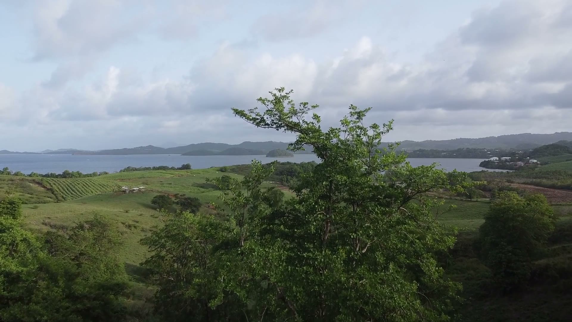 Reportage en Martinique — vue aérienne 08