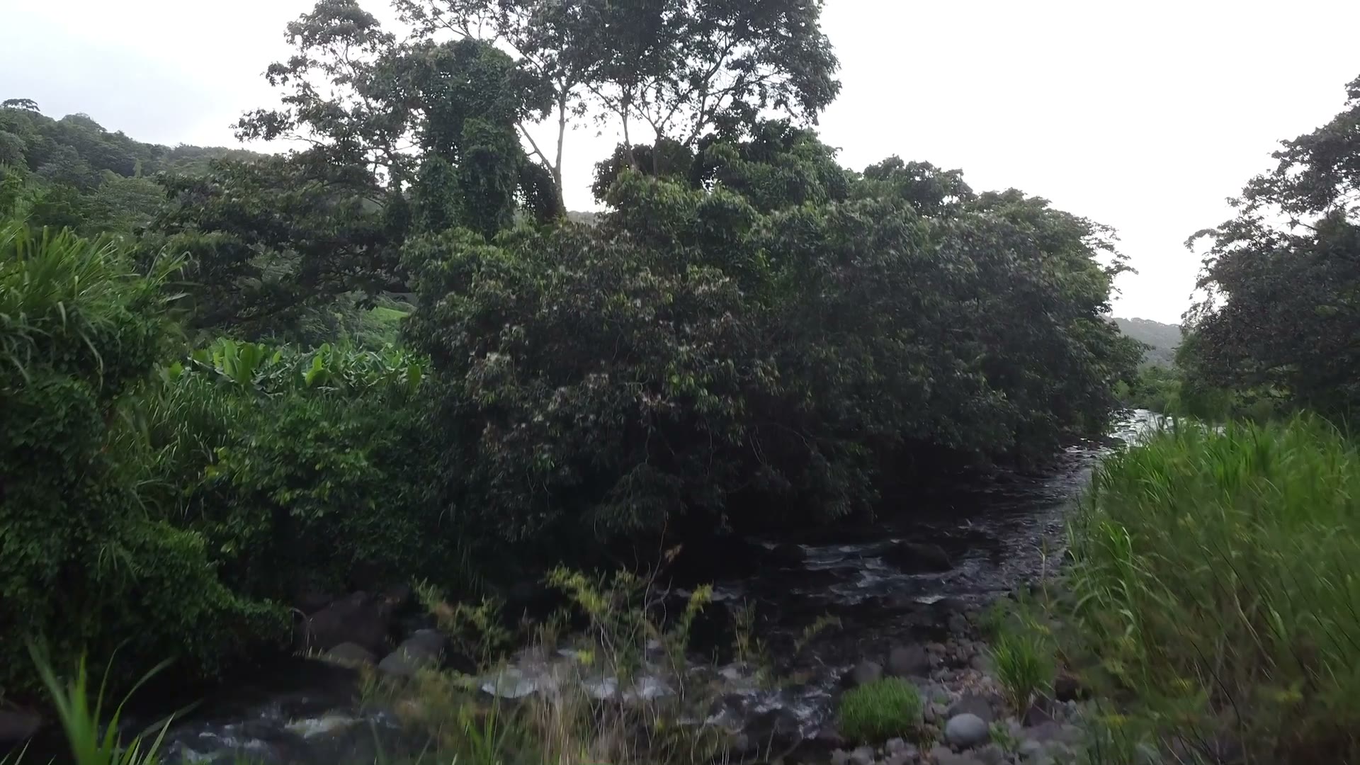 Reportage en Martinique — vue aérienne 14
