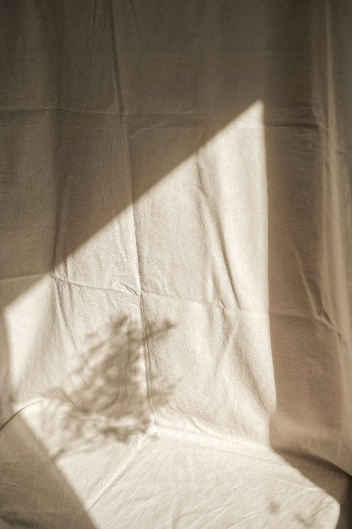 Ombre d'une plante sur un tissu de lin
